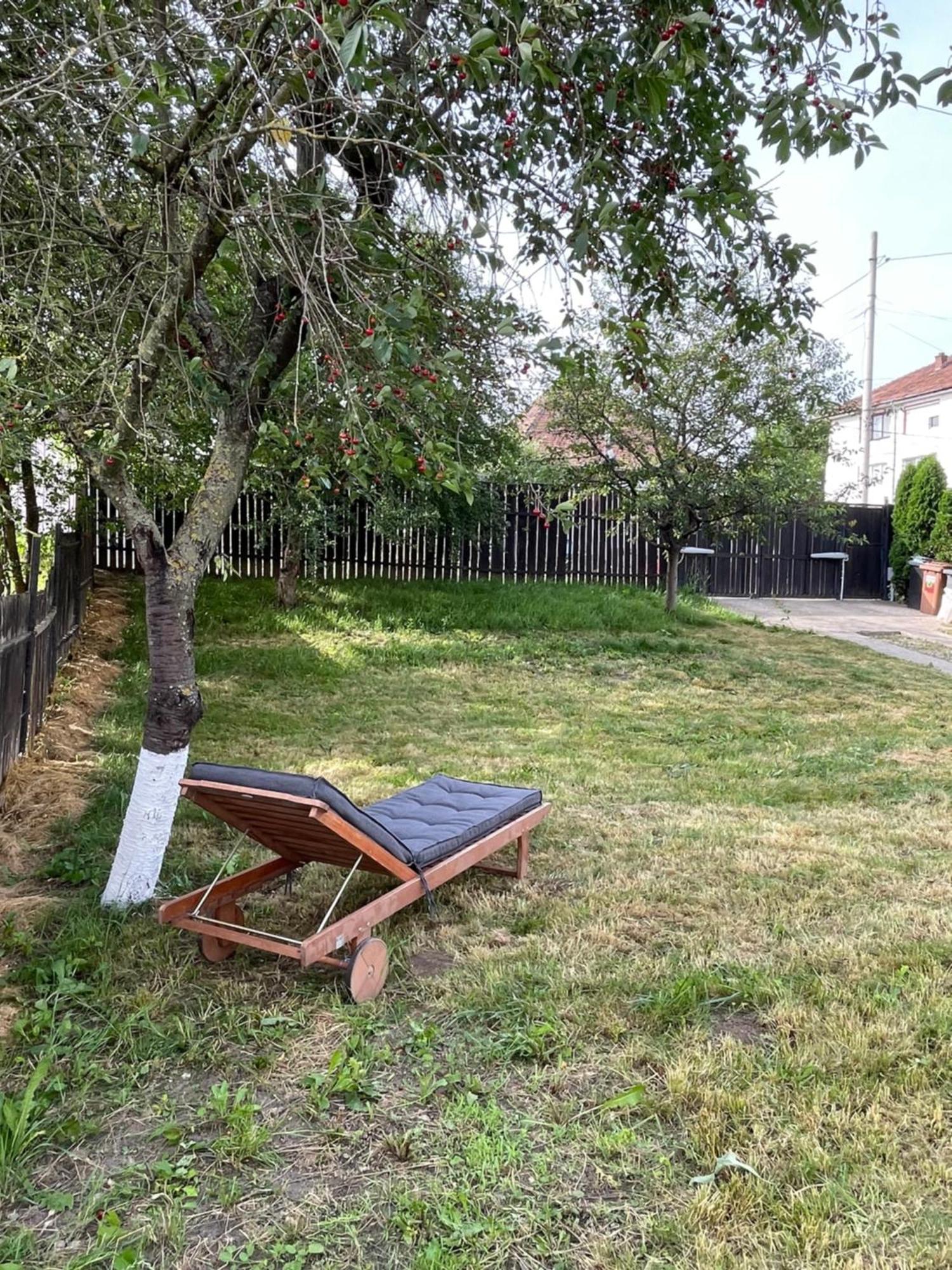 House Of Joven Villa Mediaş Eksteriør bilde